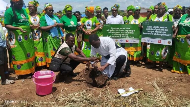 Tamani urges Govt to act against deforestation
