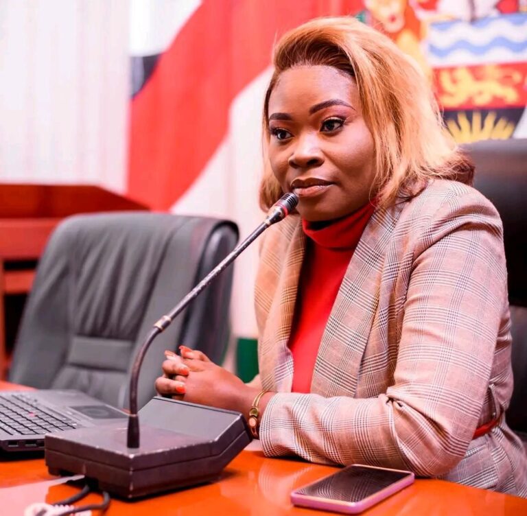 Chisenga push for justice in Akster case