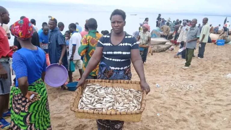 CSEPWP participants in Nkhata Bay thrive through small-scale businesses