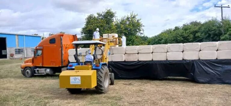 ADMARC to earn K1.4 billion from cotton exports to Switzerland