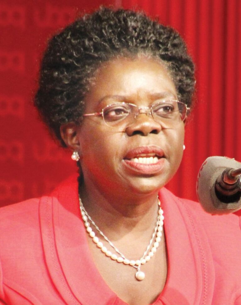 Zamba shifts blame to parliament on civil servants’ political activity