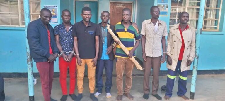Seven men sentenced to 21 years imprisonment for robbery in Lilongwe