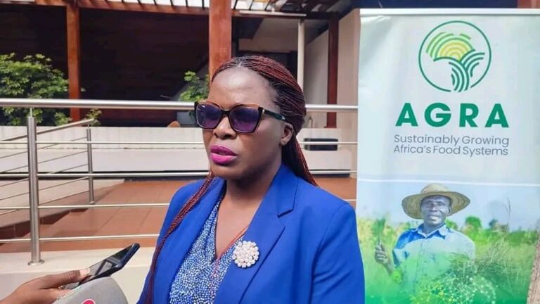 AGRA launches K6.3 billion project to boost soya bean,groundnut value chains