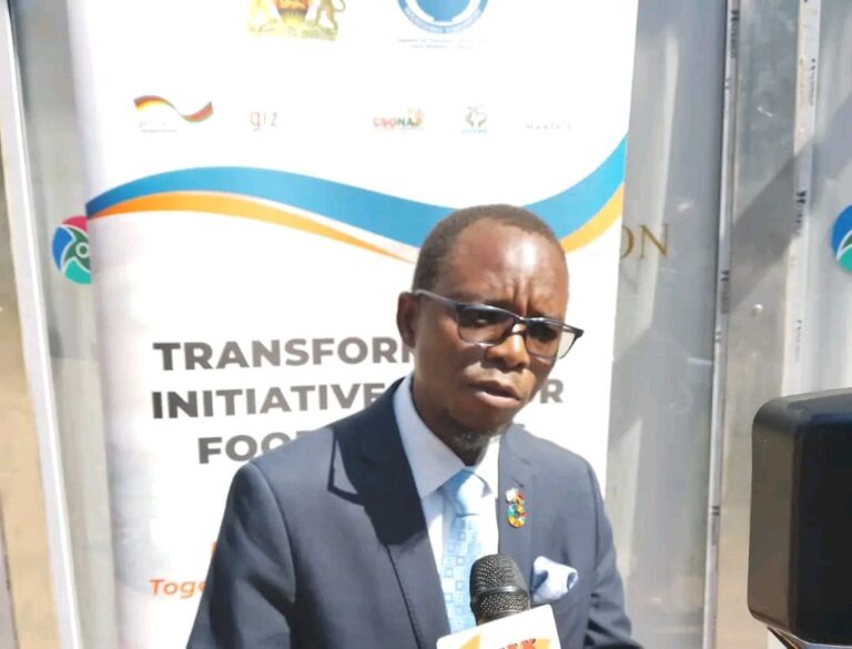 Govt establishes food systems steering committee for sustainable food security