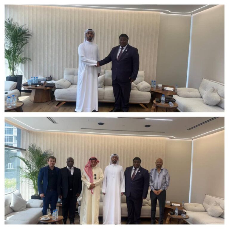 Malawi Secures Major Mining Investment Deal with UAE