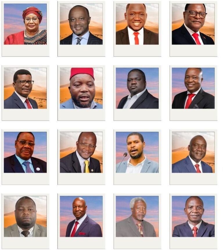 17 qualify for 2025 presidential election race
