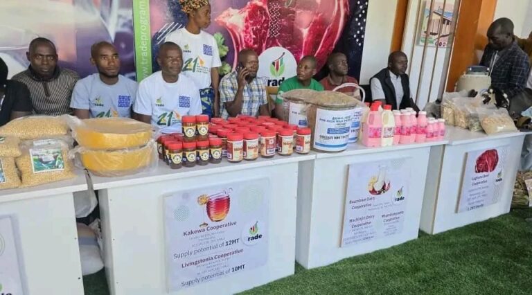 TRADE Programme links rural farmers to markets