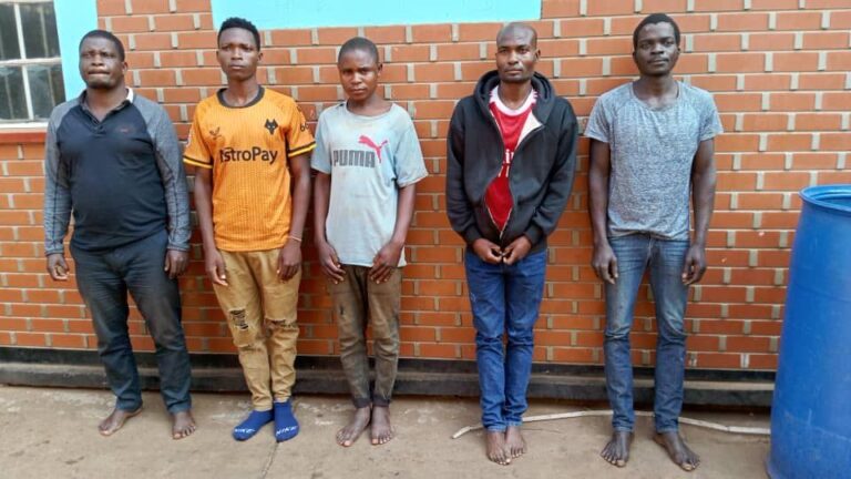 5 men arrested for theft of K10m worth of chicks at Central Poultry
