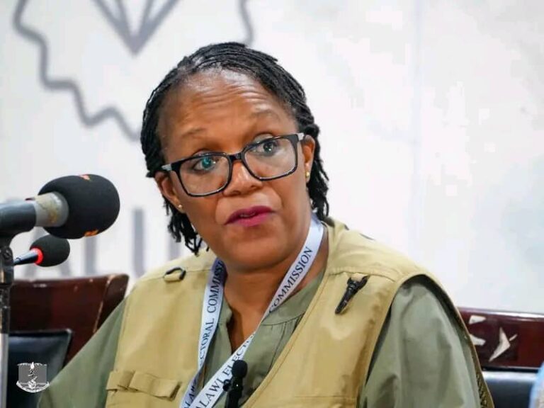 MEC to declare official results only after full electronic and manual tally