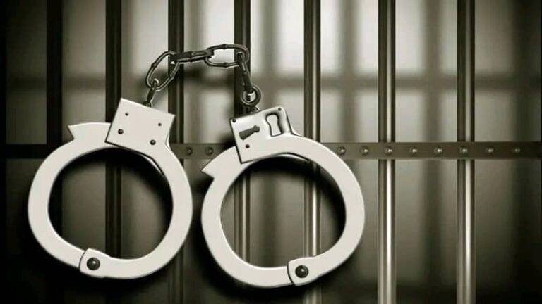 Police arrest four over alleged plot to disrupt elections