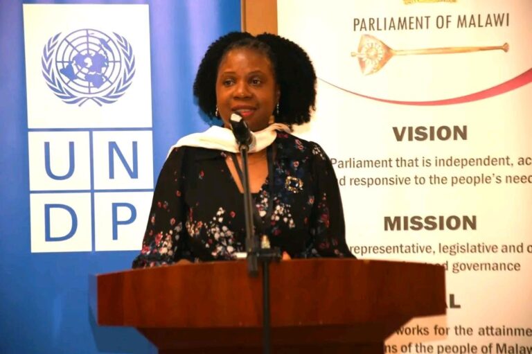 Parliament, UNDP strengthen partnership to advance democratic governance