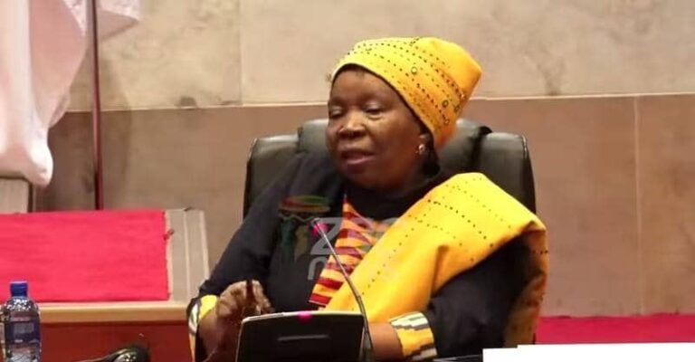 Dr. Nkosazana Dlamini-Zuma calls for an end to the ill-treatment of Africans by fellow Africans