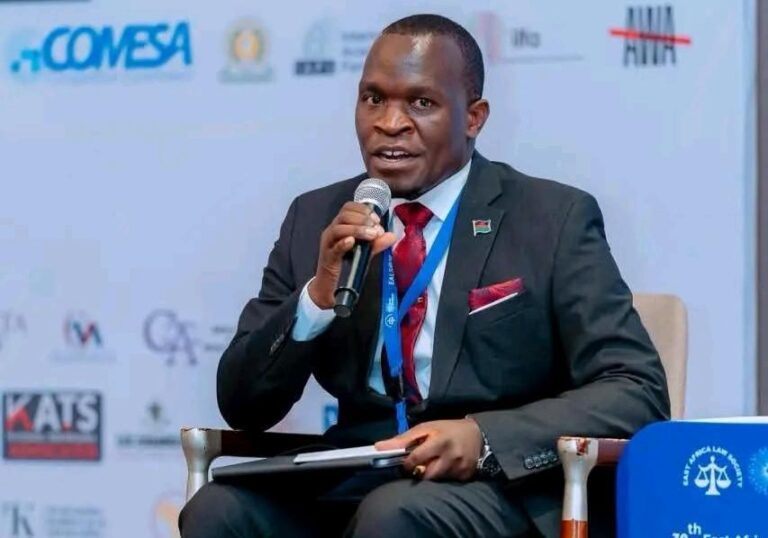 Chakaka-Nyirenda pushes for continental framework to enforce human-rights decisions