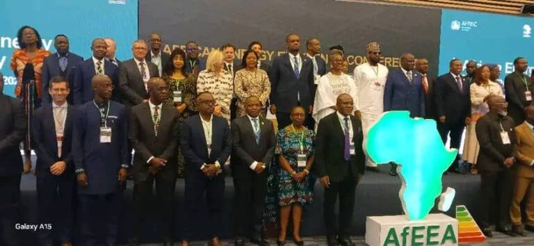 Malawi reaffirms commitment to global energy efficiency goals at Continental Conference