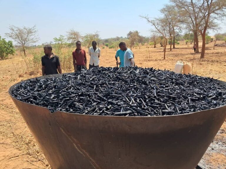 Climate-Smart Gardens Sow Seeds of Knowledge and Resilience on International Day of Education