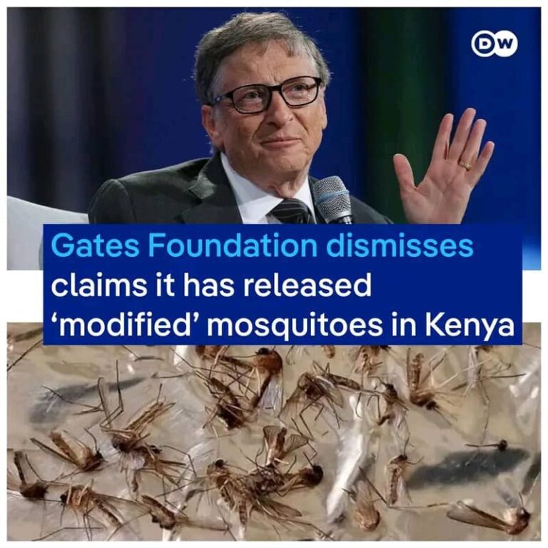 Gates Foundation denies mosquito conspiracy in Kenya