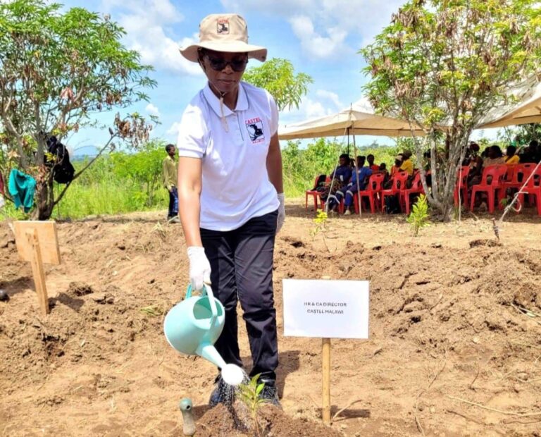 Castel Malawi replants 2000 trees at Mudi catchment area