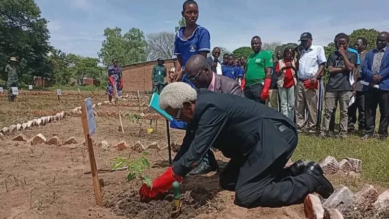 Karonga communities urged to nurture trees for a greener future