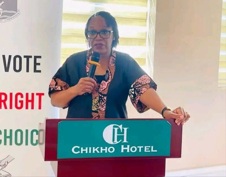 MEC urges electoral officials to uphold electoral laws for credible By-elections