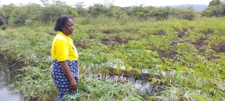 Floods devastate crops in Nkhata Bay, Malawi