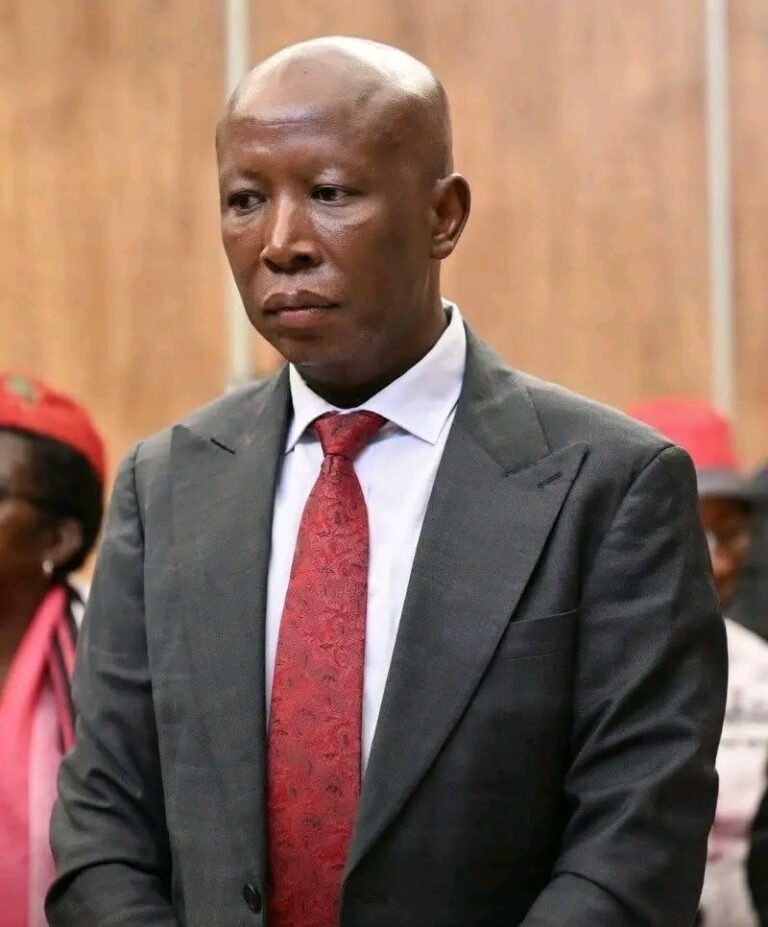 Julius Malema sentenced to five years in prison for firearm offense