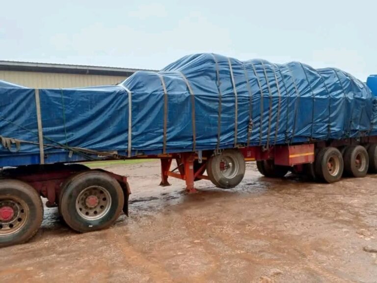 100,000 metric tonnes of maize imported from Zambia arrive in the country