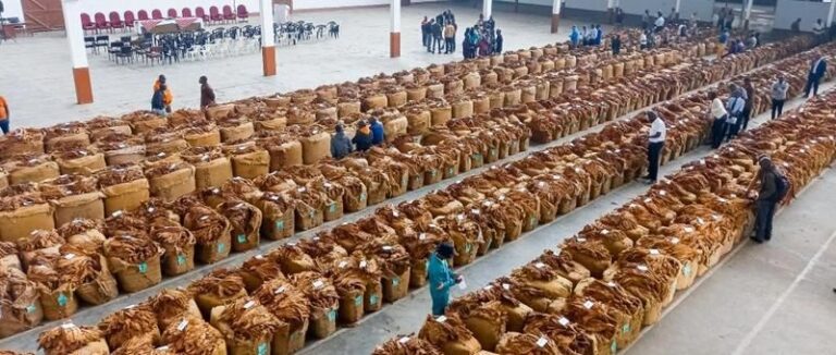 Muluzi flags Severe challenges in 2026 tobacco marketing season