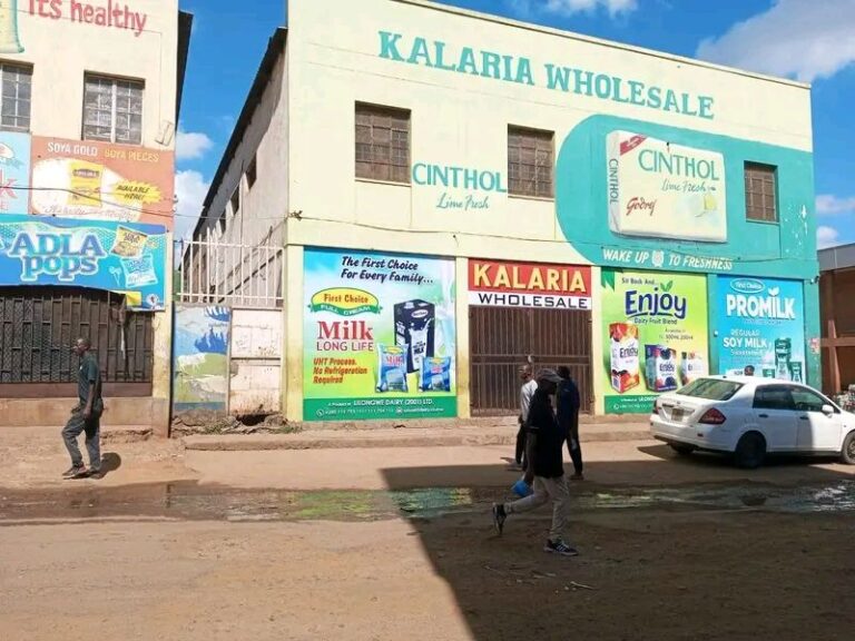 Analysis of Malawi’s economic tensions escalate as traders reject new tax system