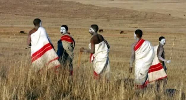 35 Young Men Die During Traditional Initiation Season in South Africa