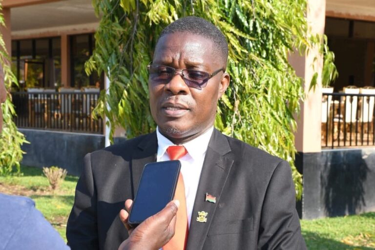 Zizwa hails improved SNE performance